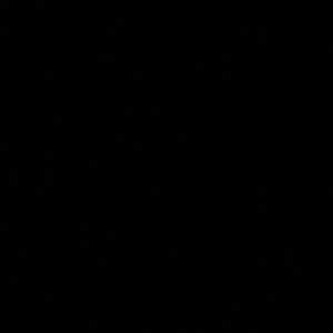 Meet your Posher, Carter